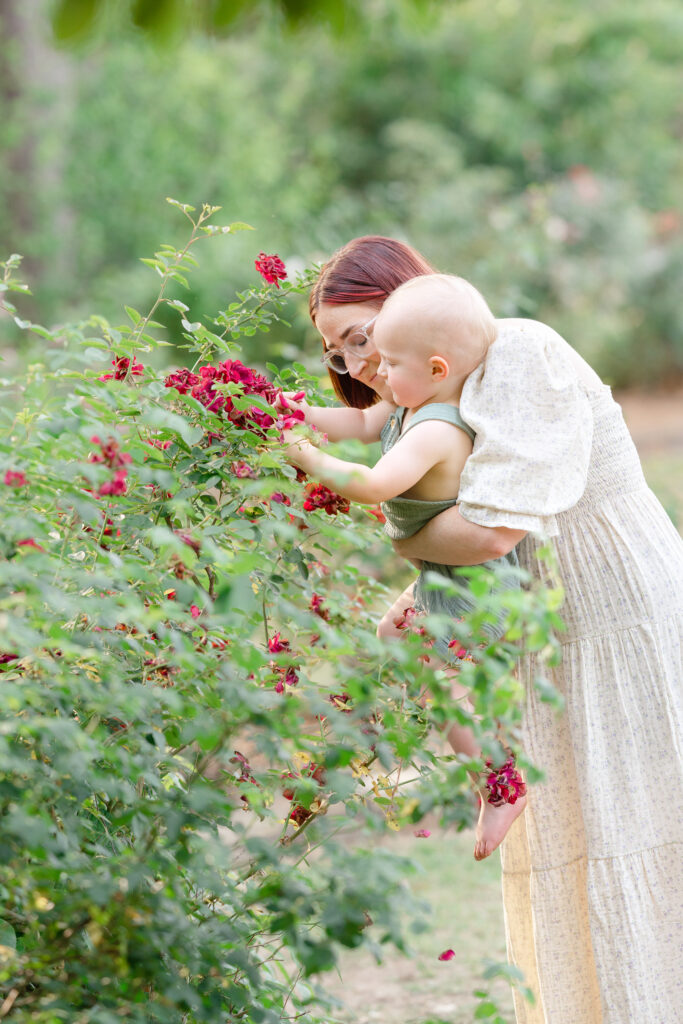 a mom holding a  young boy while he picks roses in a garden.