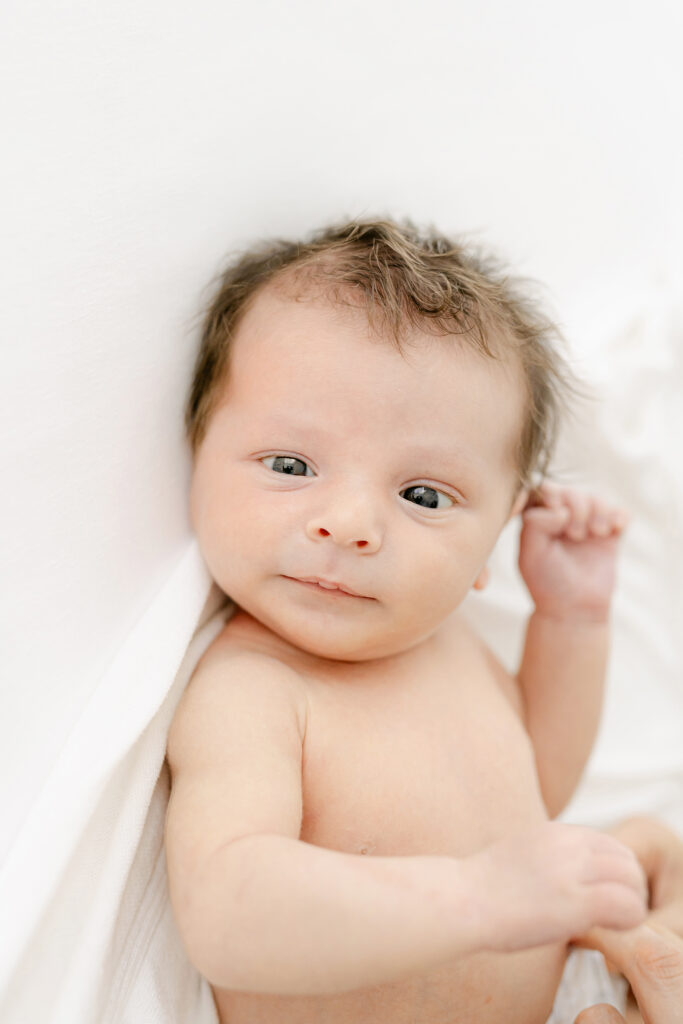 a new baby looks at the camera during a photo session 