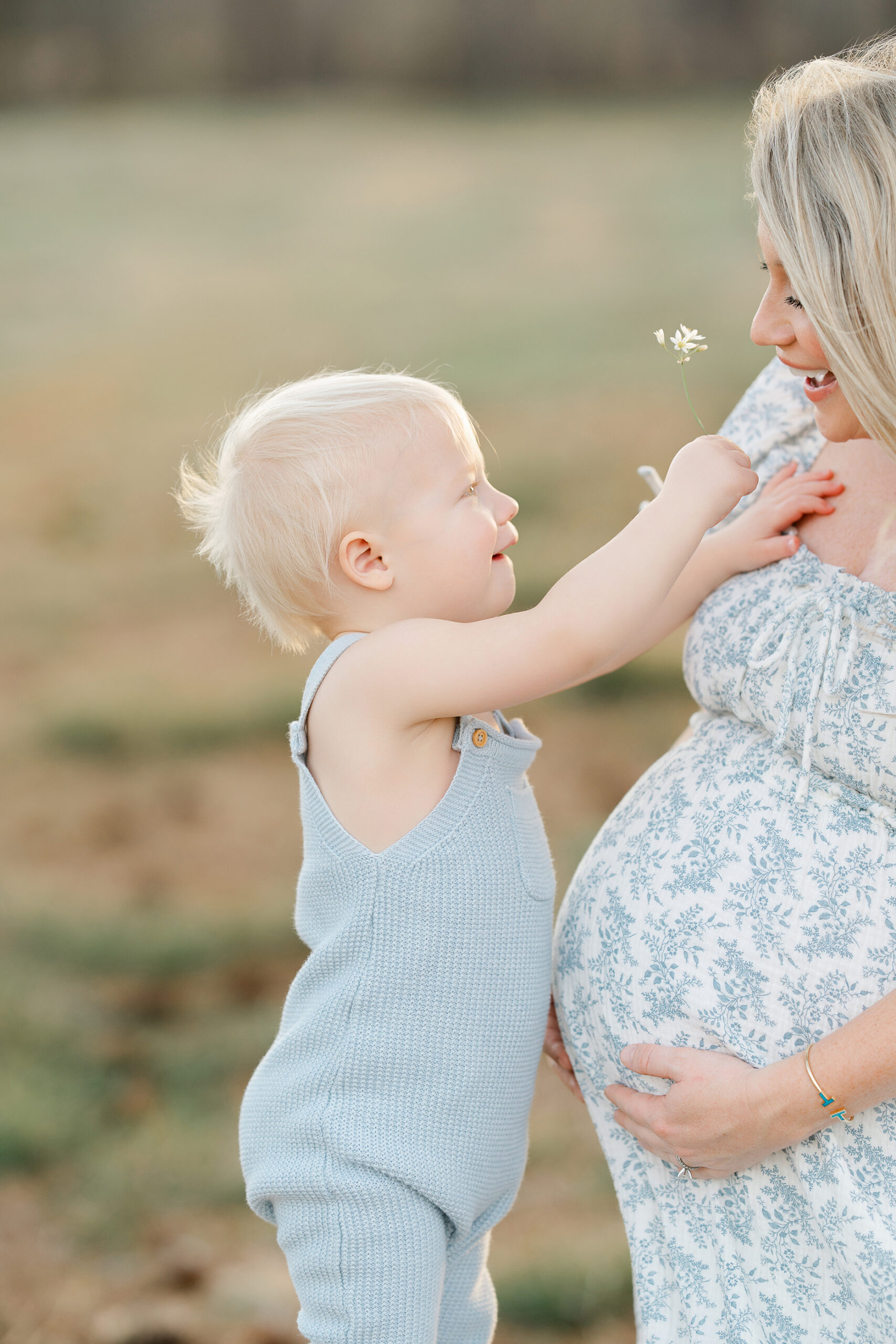 Toddler giving his pregnant mother a small flower during a photo session in a green field.